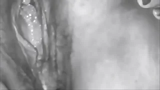 441 gay natural porn videos